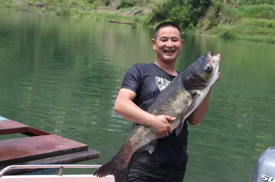 丰收的喜悦